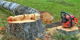Best Tree Preservation Services  in Franklin, WI