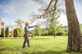 Best Hedge Trimming  in Franklin, WI