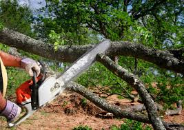 Best Leaf Removal  in Franklin, WI