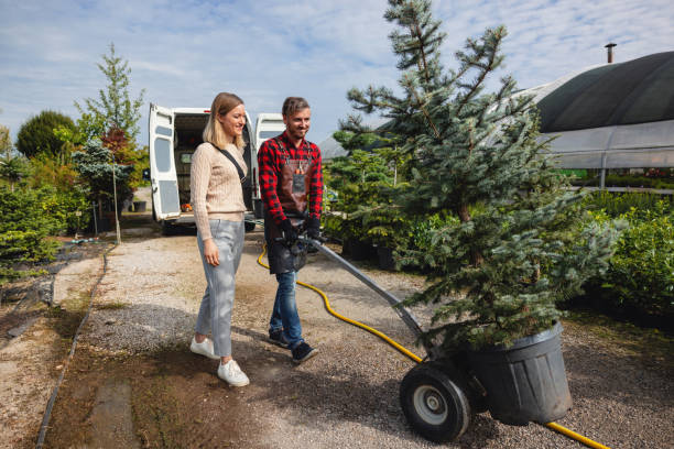 Best Tree Disease Treatment  in Franklin, WI