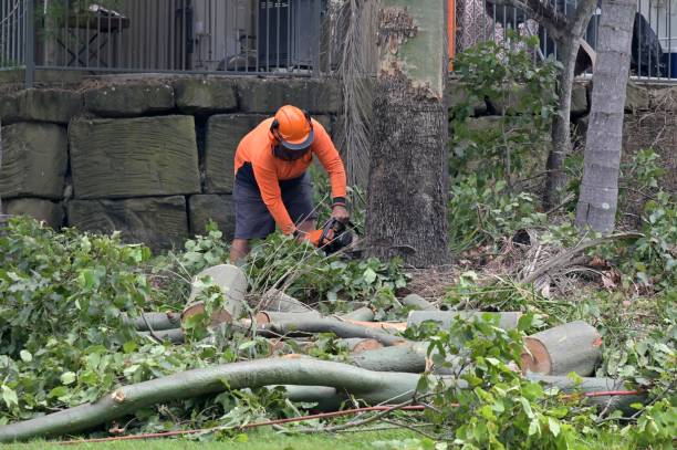  Franklin, WI Tree Services Pros