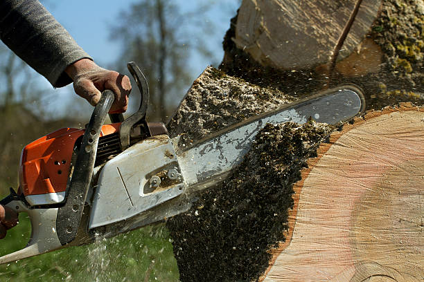 Lawn Grading and Leveling in Franklin, WI